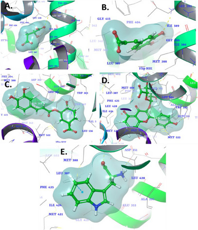PMC12533807 – cbdv70100-fig-0001