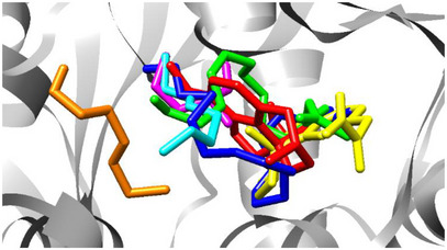 PMC12533795 – cbdv70020-fig-0003