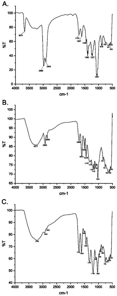 PMC12533795 – cbdv70020-fig-0002