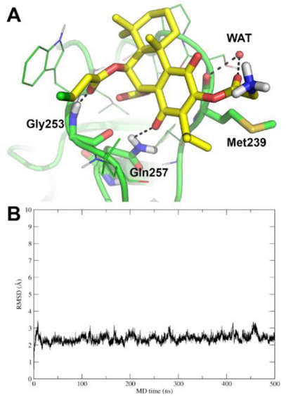 PMC12716025 – cbdv70537-fig-0005