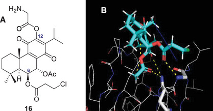PMC12716025 – cbdv70537-fig-0004