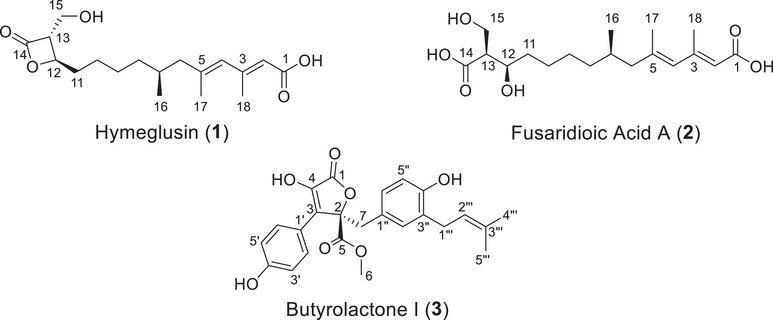 PMC12629174 – cbdv70252-fig-0003