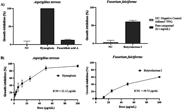 PMC12629174 – cbdv70252-fig-0004