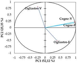 PMC12533806 – cbdv70007-fig-0005