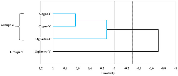 PMC12533806 – cbdv70007-fig-0007