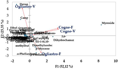 PMC12533806 – cbdv70007-fig-0006