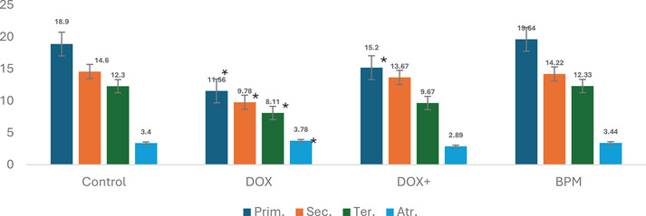 PMC12629153 – cbdv70243-fig-0003