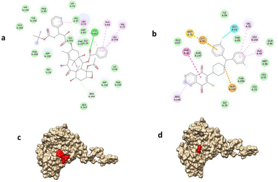 PMC12629165 – cbdv70293-fig-0002