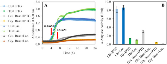 PMC12629164 – cbdv70233-fig-0001