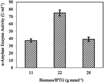 PMC12629164 – cbdv70233-fig-0005