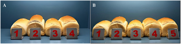 PMC12629164 – cbdv70233-fig-0007