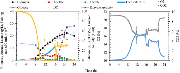 PMC12629164 – cbdv70233-fig-0006