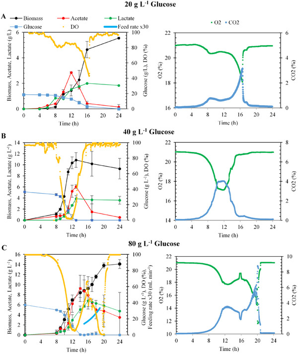 PMC12629164 – cbdv70233-fig-0004
