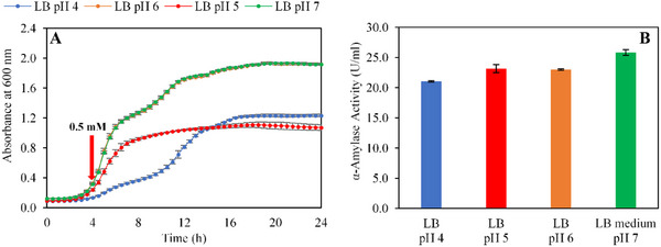 PMC12629164 – cbdv70233-fig-0003