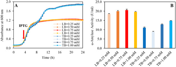 PMC12629164 – cbdv70233-fig-0002