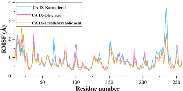 PMC12715991 – cbdv70376-fig-0005
