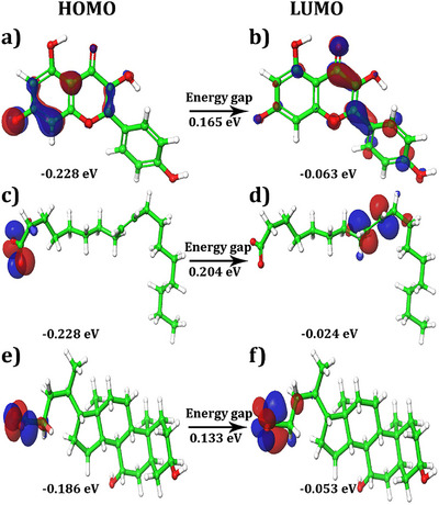 PMC12715991 – cbdv70376-fig-0007