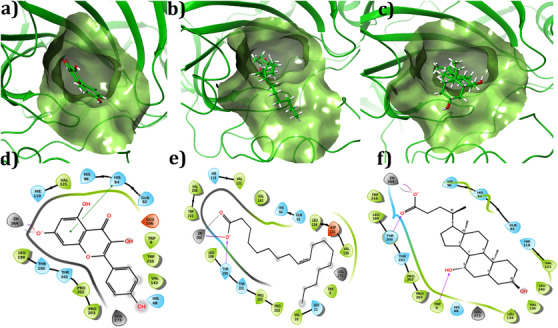 PMC12715991 – cbdv70376-fig-0002