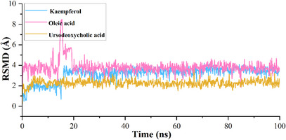 PMC12715991 – cbdv70376-fig-0004