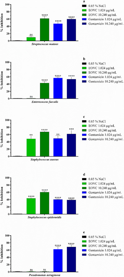 PMC12629171 – cbdv70161-fig-0002