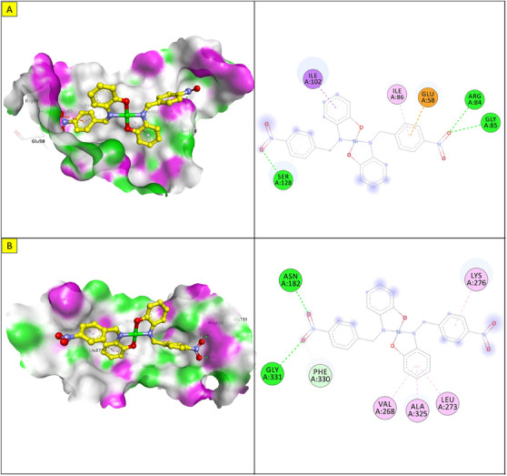 PMC12629167 – cbdv70157-fig-0009