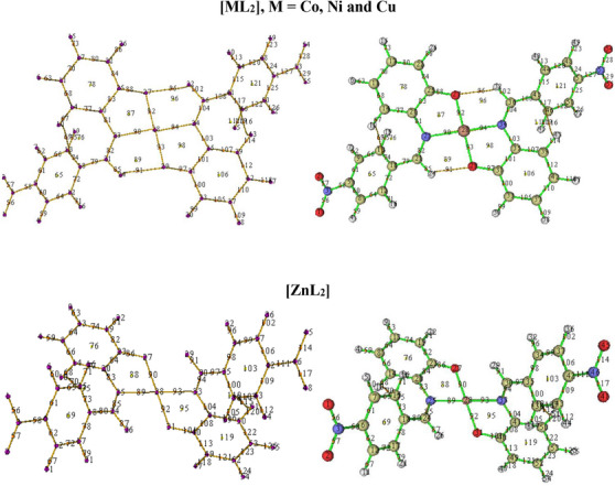 PMC12629167 – cbdv70157-fig-0008