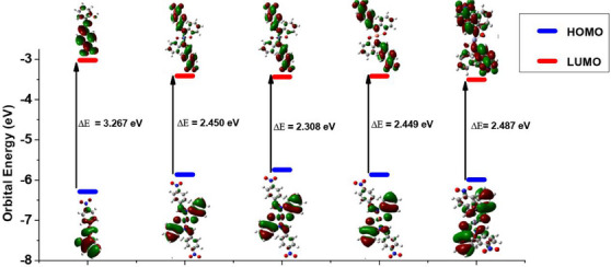 PMC12629167 – cbdv70157-fig-0006