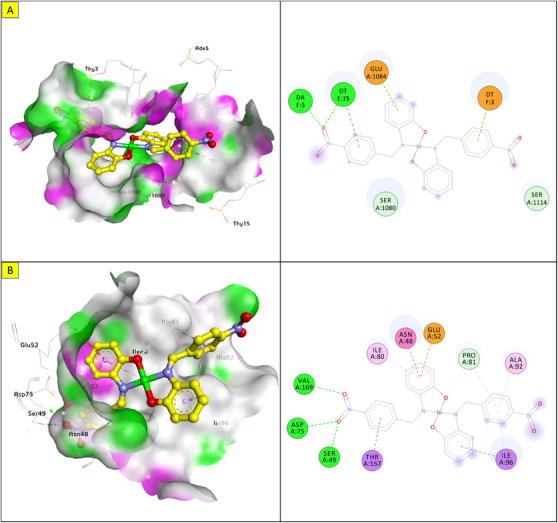 PMC12629167 – cbdv70157-fig-0010