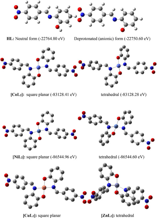 PMC12629167 – cbdv70157-fig-0005