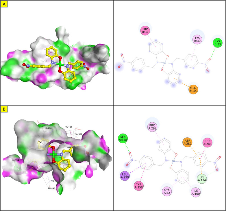PMC12629167 – cbdv70157-fig-0011