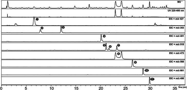 PMC12716024 – cbdv70496-fig-0002