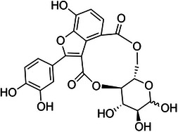 PMC12716024 – cbdv70496-fig-0001