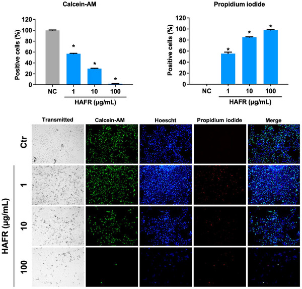 PMC12629168 – cbdv70218-fig-0004