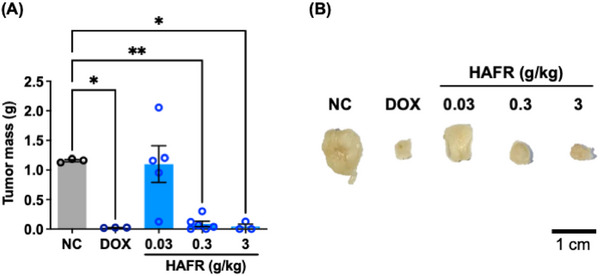 PMC12629168 – cbdv70218-fig-0007