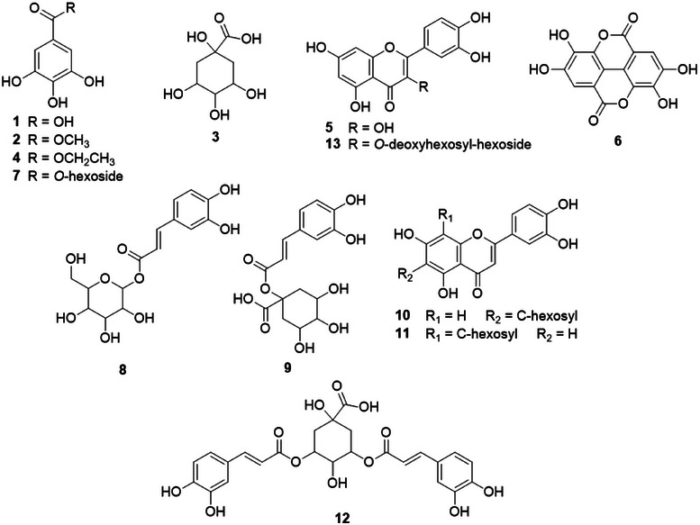 PMC12629168 – cbdv70218-fig-0002