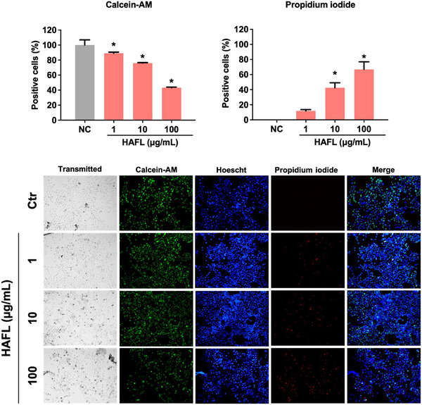 PMC12629168 – cbdv70218-fig-0005