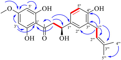PMC12629158 – cbdv70254-fig-0002