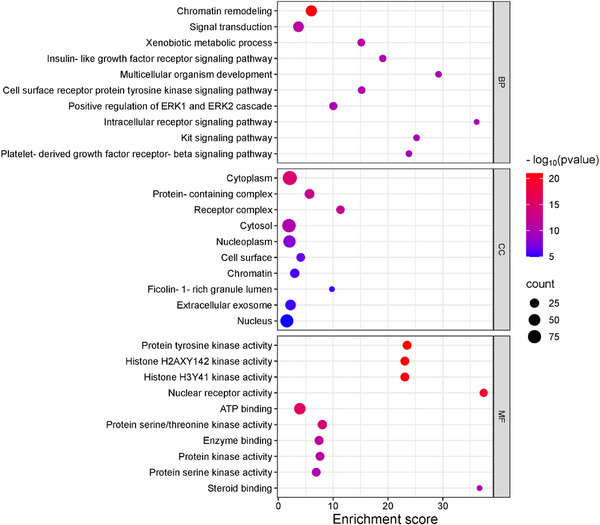 PMC12533803 – cbdv70043-fig-0004
