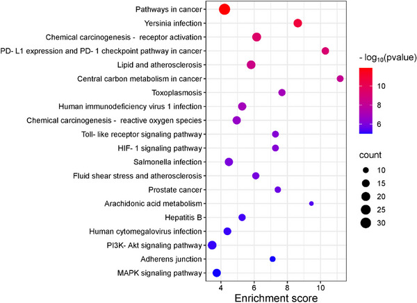 PMC12533803 – cbdv70043-fig-0005