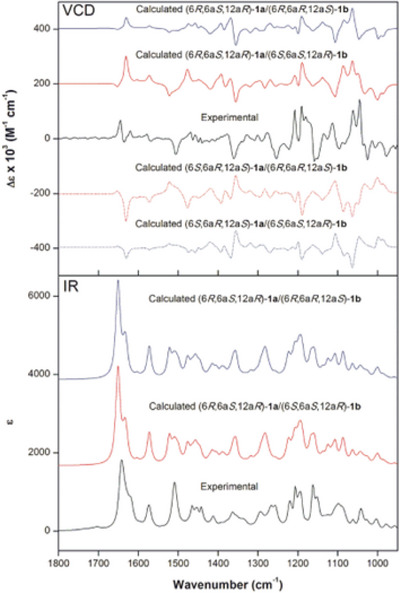 PMC12533803 – cbdv70043-fig-0003