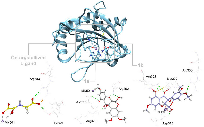 PMC12533803 – cbdv70043-fig-0006