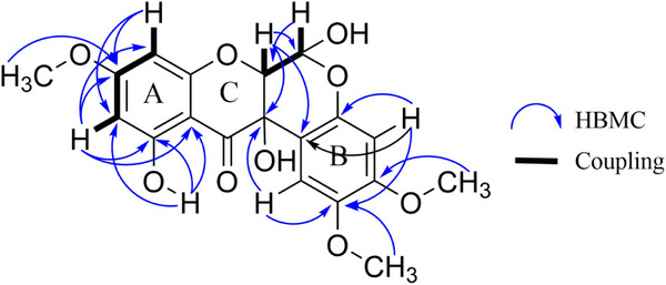 PMC12533803 – cbdv70043-fig-0002