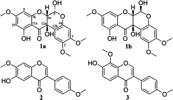 PMC12533803 – cbdv70043-fig-0001