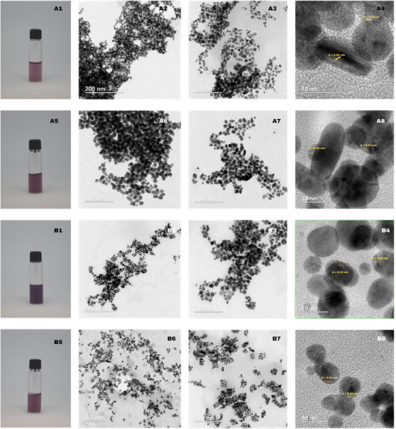 PMC12715997 – cbdv70366-fig-0011