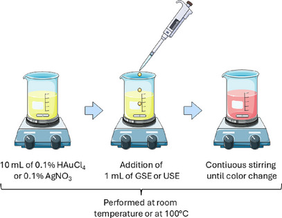 PMC12715997 – cbdv70366-fig-0003