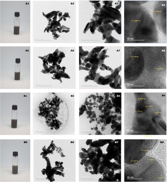 PMC12715997 – cbdv70366-fig-0012