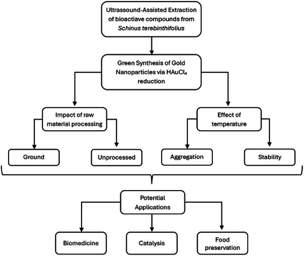 PMC12715997 – cbdv70366-fig-0005