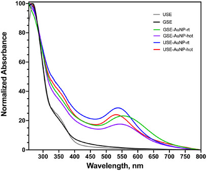 PMC12715997 – cbdv70366-fig-0006