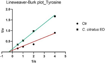 PMC12533800 – cbdv70110-fig-0001