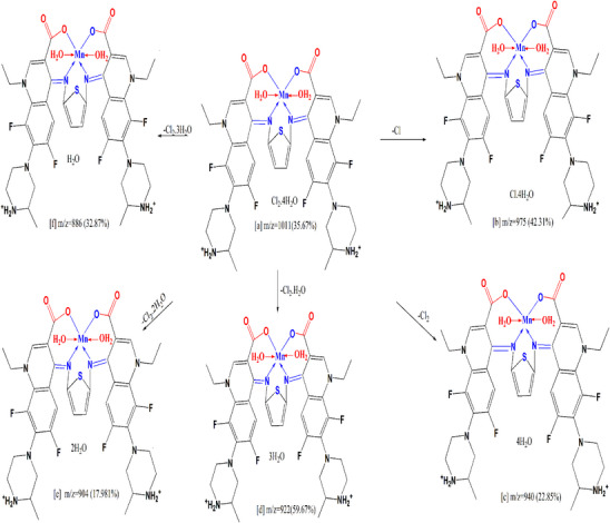 PMC12716001 – cbdv70504-fig-0006